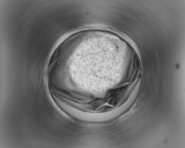 X0000116671389201001251230
