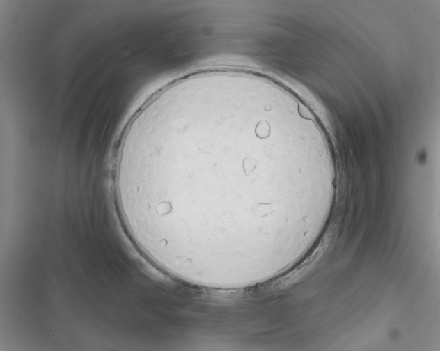 X0000116671390201001251230