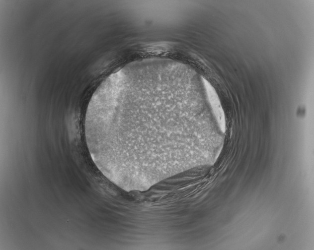 X0000116671394201001251229