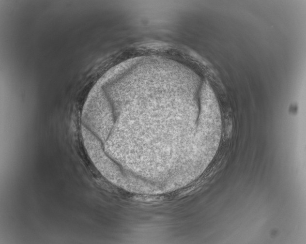 X0000116671397201001251229