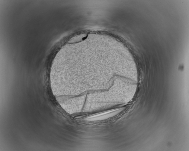 X0000116671398201001251229