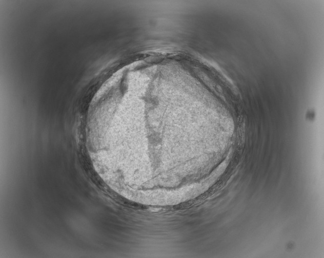 X0000116671399201001251229