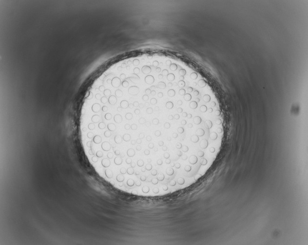 X0000116671400201001251229