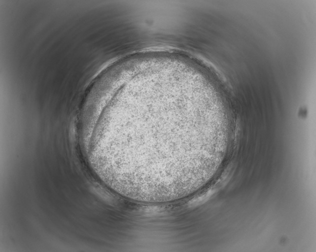 X0000116671401201001251229