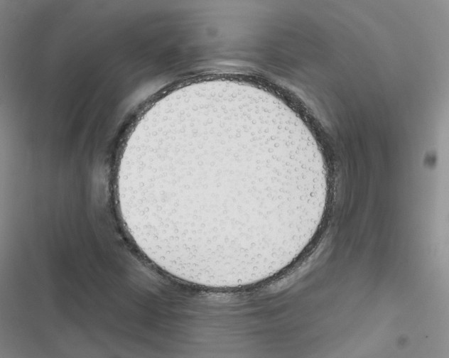 X0000116671402201001251229