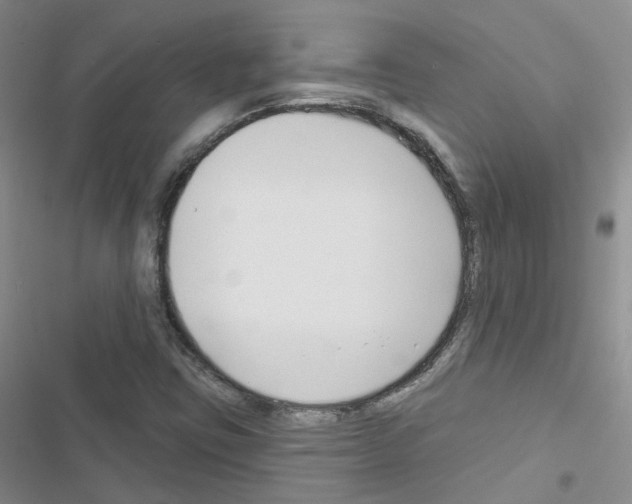 X0000116671403201001251229
