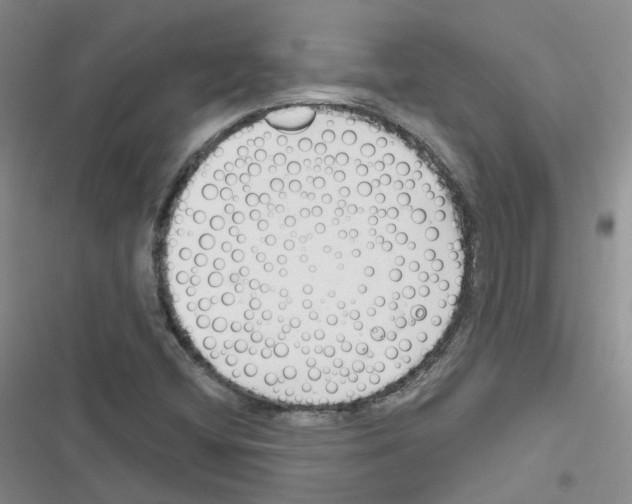 X0000116671404201001251229
