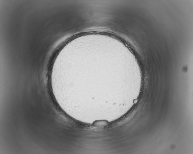 X0000116671406201001251229