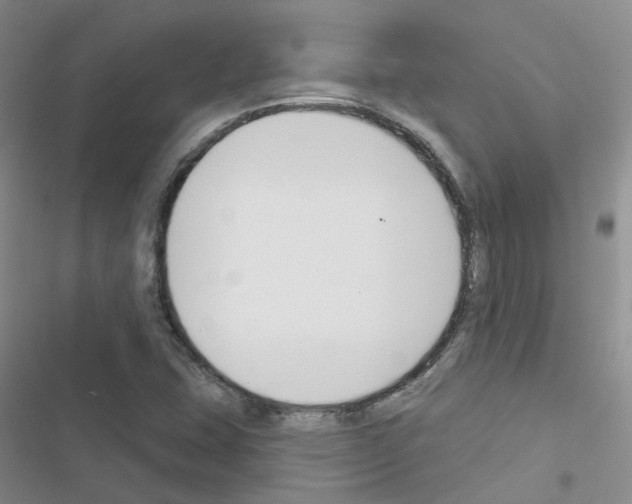 X0000116671407201001251229