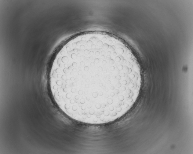 X0000116671408201001251229