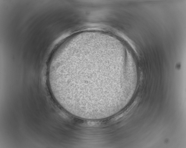 X0000116671411201001251229
