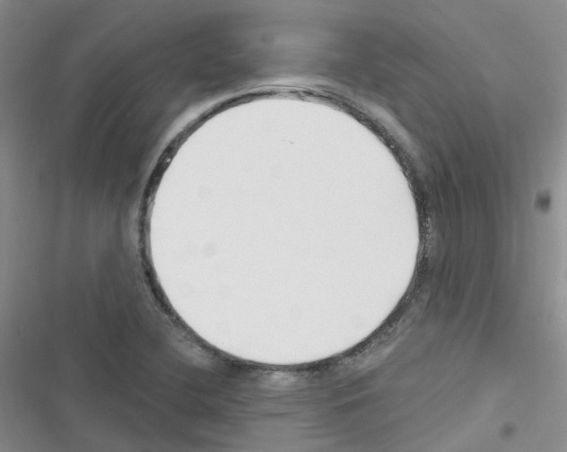 X0000116671412201001251229