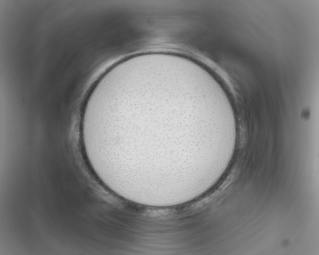 X0000116671415201001251229