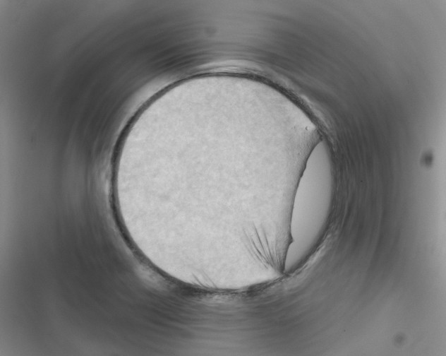 X0000116671418201001251229