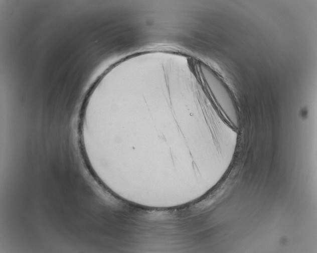 X0000116671422201001251229