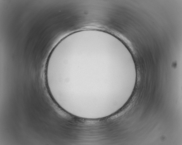 X0000116671423201001251229