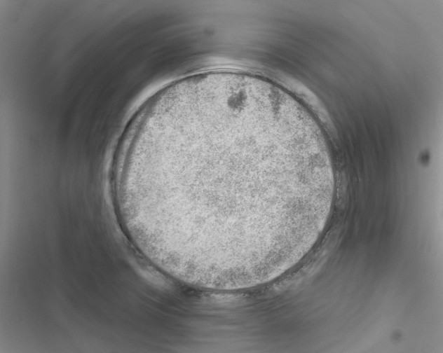X0000116671427201001251229