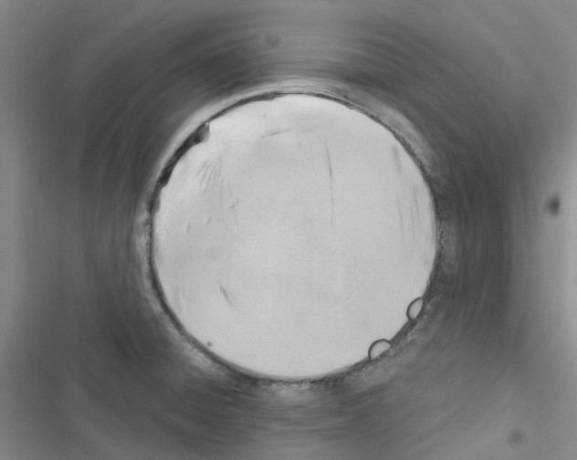 X0000116671428201001251229