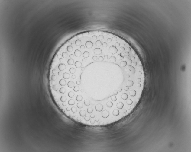 X0000116671432201001251229