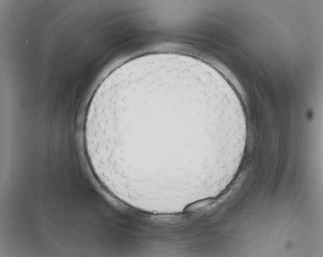X0000116671437201001251229