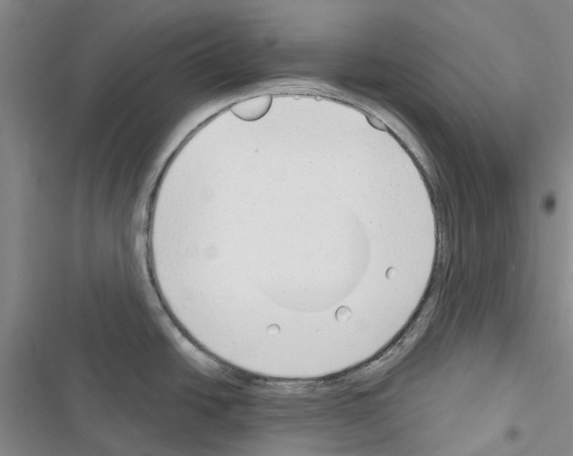 X0000116671438201001251229