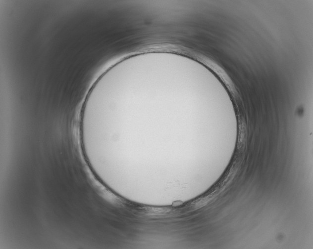 X0000116671439201001251229