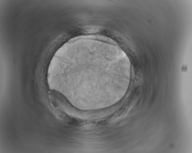 X0000116671441201001251229