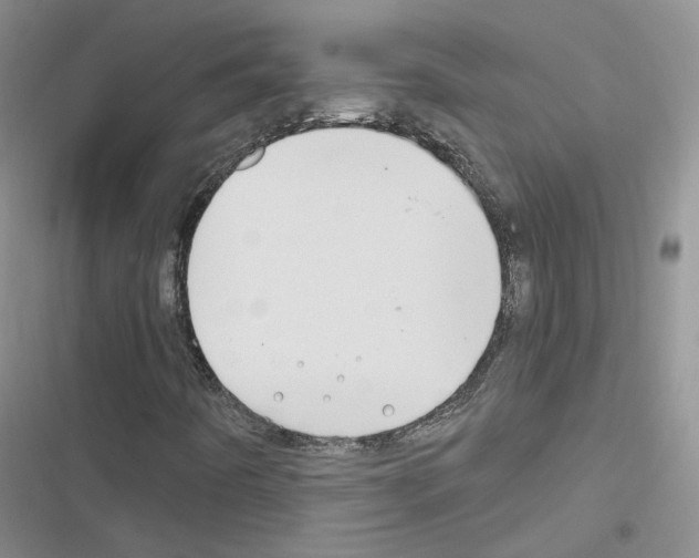 X0000116671442201001251229