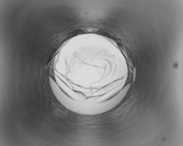 X0000116671443201001251229