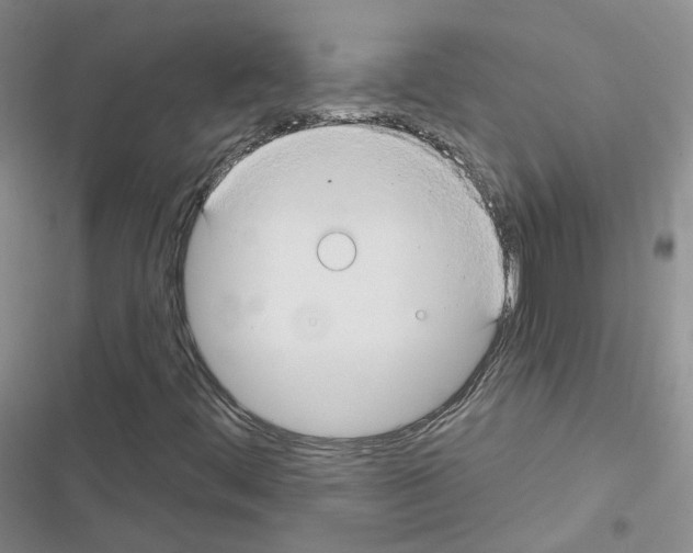 X0000116671444201001251229