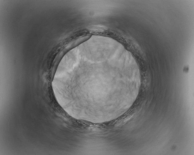 X0000116671445201001251229