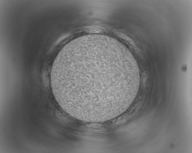 X0000116671446201001251229