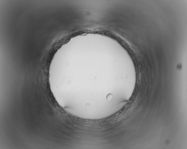 X0000116671447201001251229