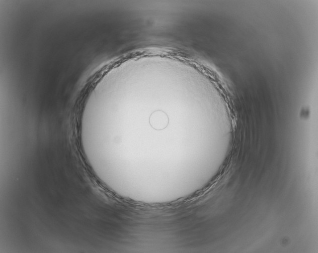 X0000116671448201001251229