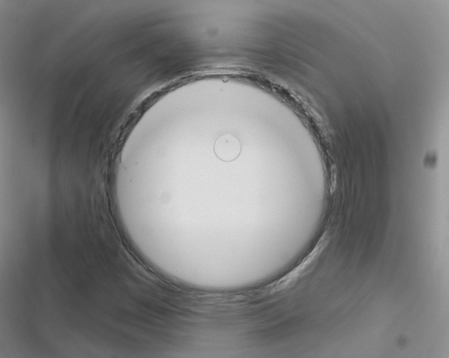 X0000116671449201001251229