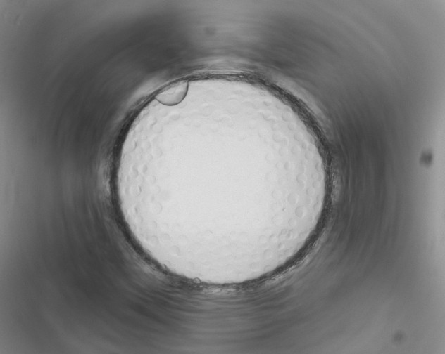 X0000116671451201001251229
