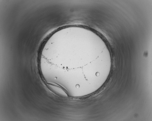 X0000116671452201001251229