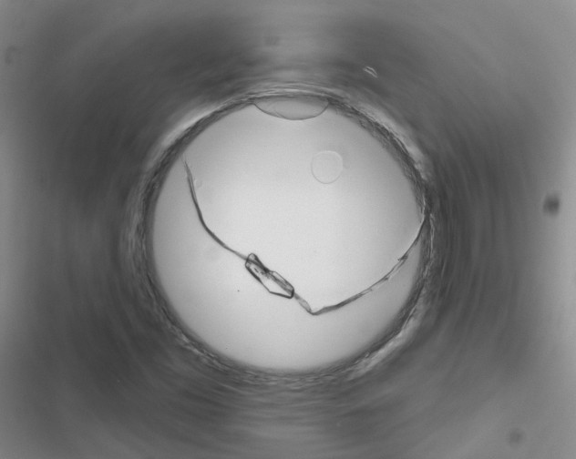X0000116671453201001251229