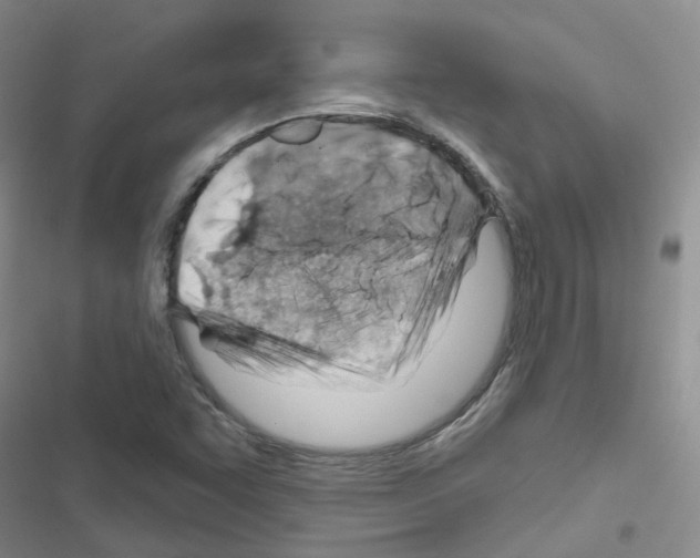 X0000116671455201001251229