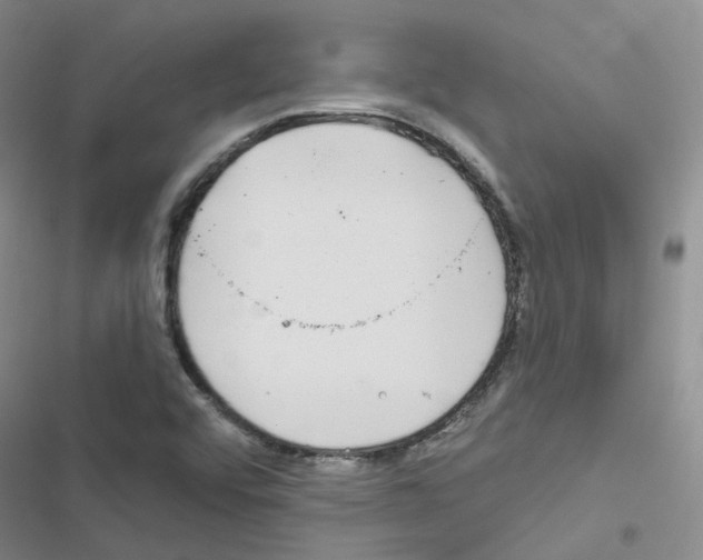 X0000116671456201001251229