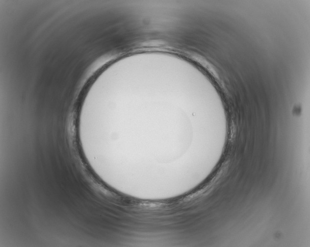 X0000116671458201001251229
