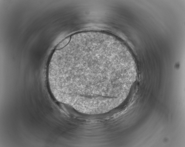 X0000116671459201001251229