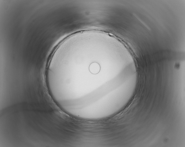 X0000116671460201001251229