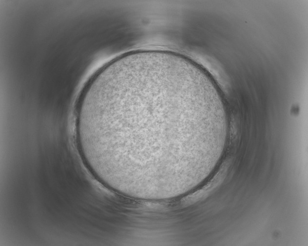 X0000116671462201001251229