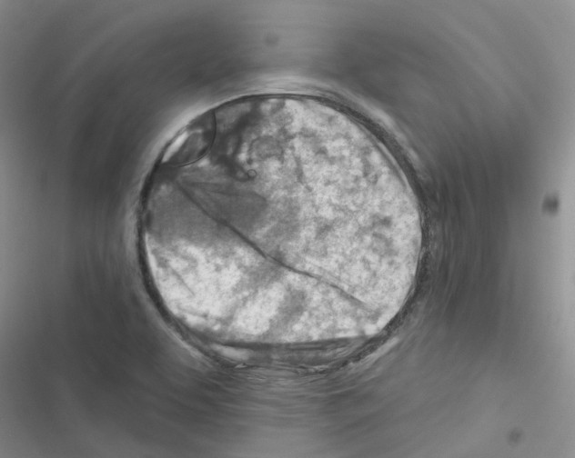 X0000116671463201001251229