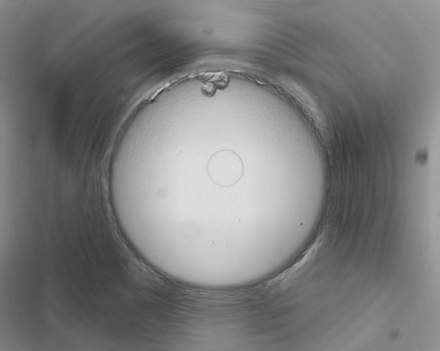 X0000116671465201001251229
