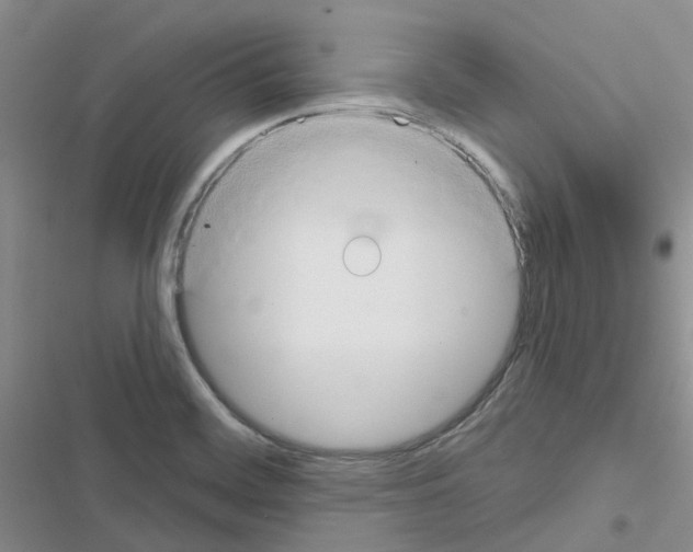 X0000116671468201001251228
