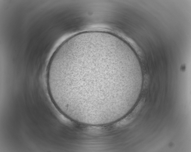 X0000116671470201001251228