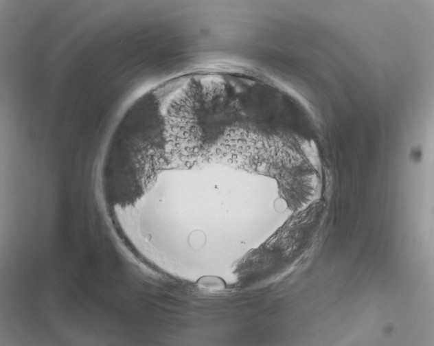 X0000116671471201001251228