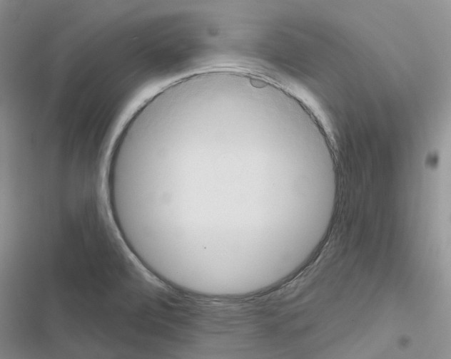 X0000116671472201001251228